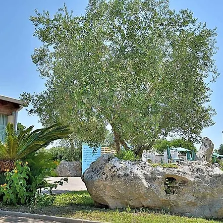 Thalas Club Hotel