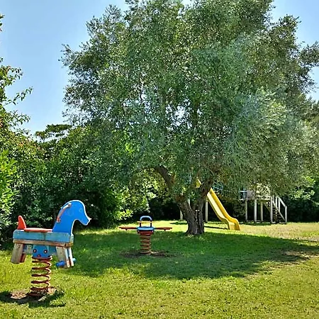Hotel Thalas Club 4*